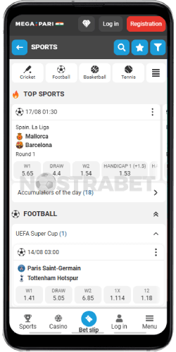 megapari mobile version