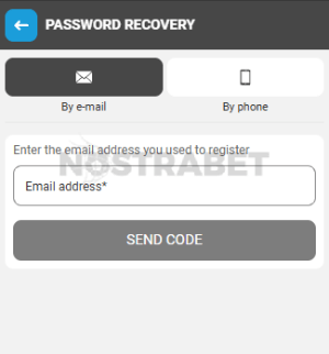 megapari password reset