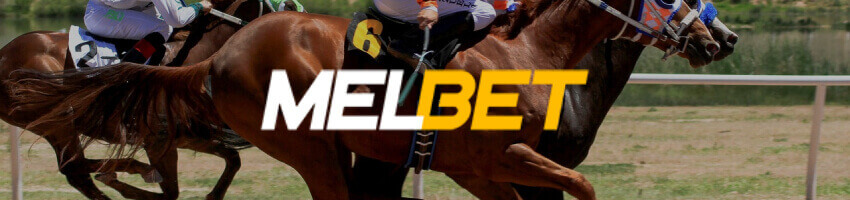melbet live horse racing betting
