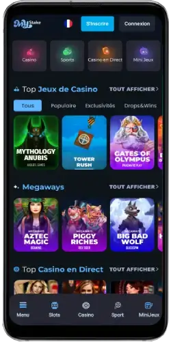 MyStake version mobile