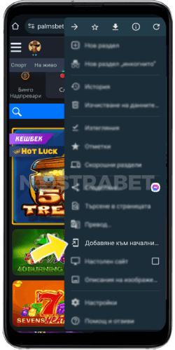 Palms bet mobile добавяне към начален екран