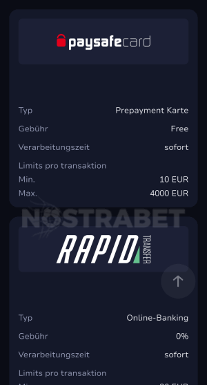 Paysafecard mobile Auszahlung