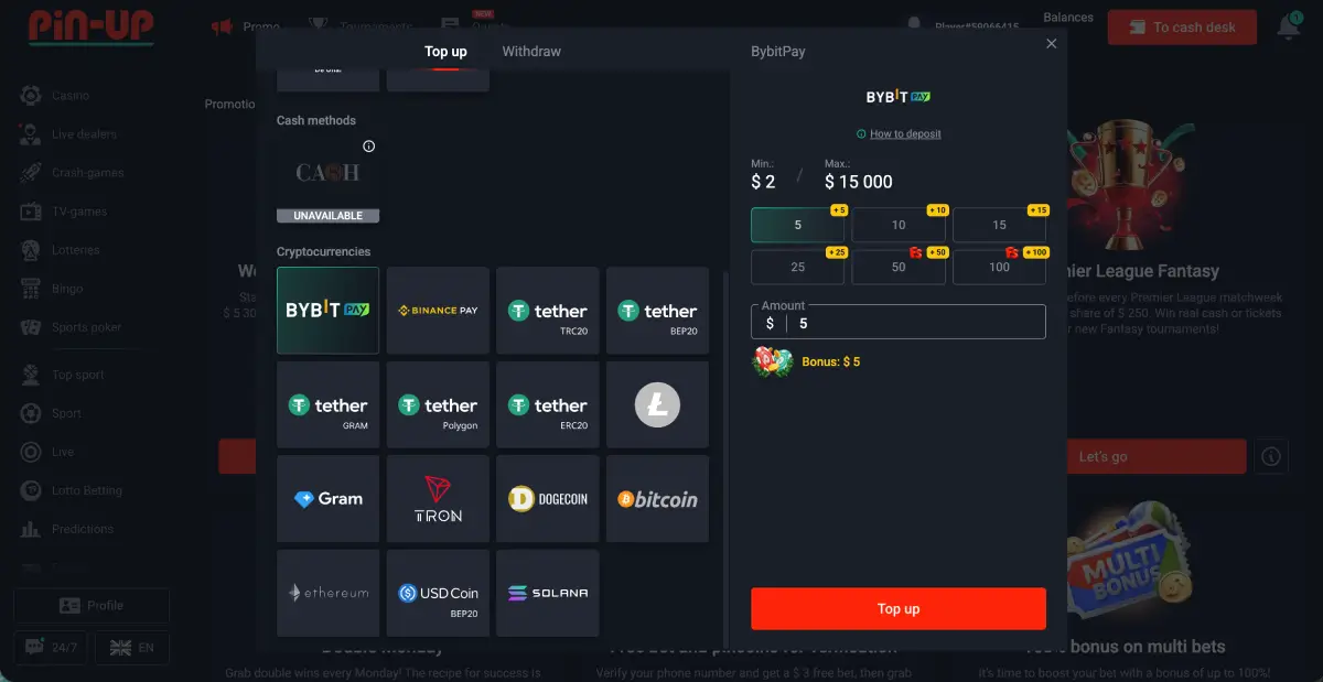 pin up deposit page