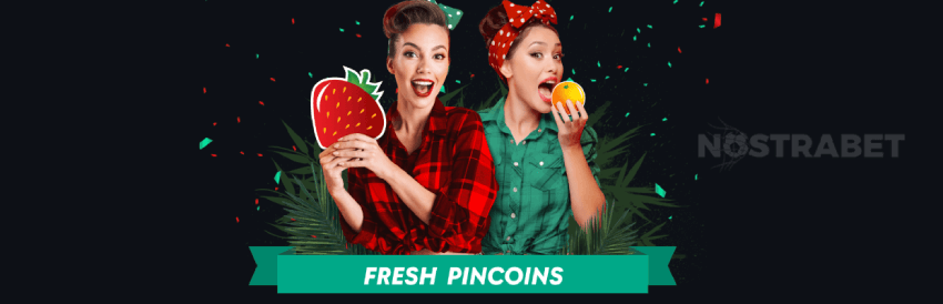 pin-up pincoins