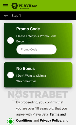 Playabets bonus code enter