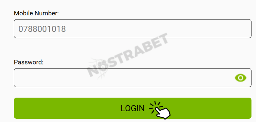 playabets login steps