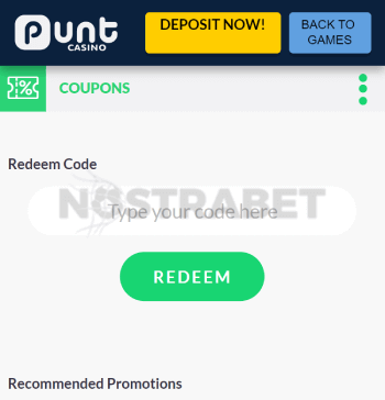 punt casino bonus code enter