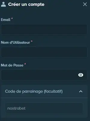 stake renseigner le code bonus