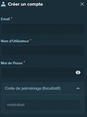 stake saisir le code bonus