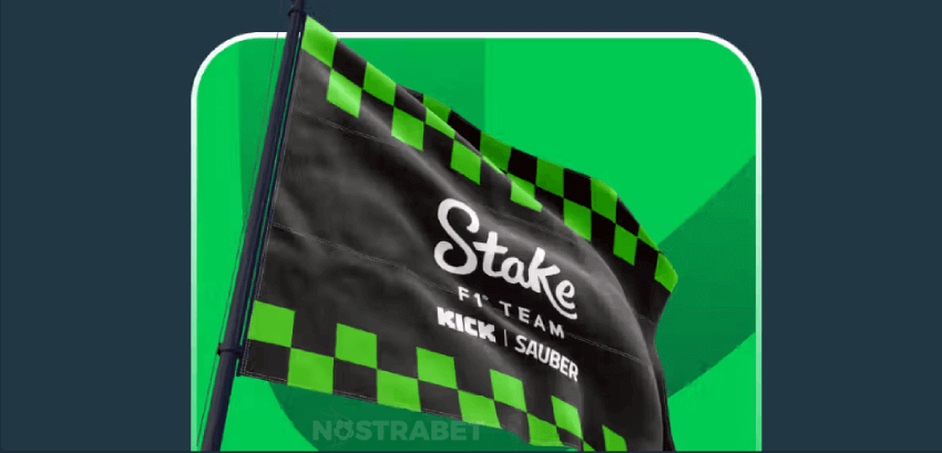 Stake F1 team