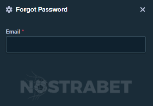 stake password recovery