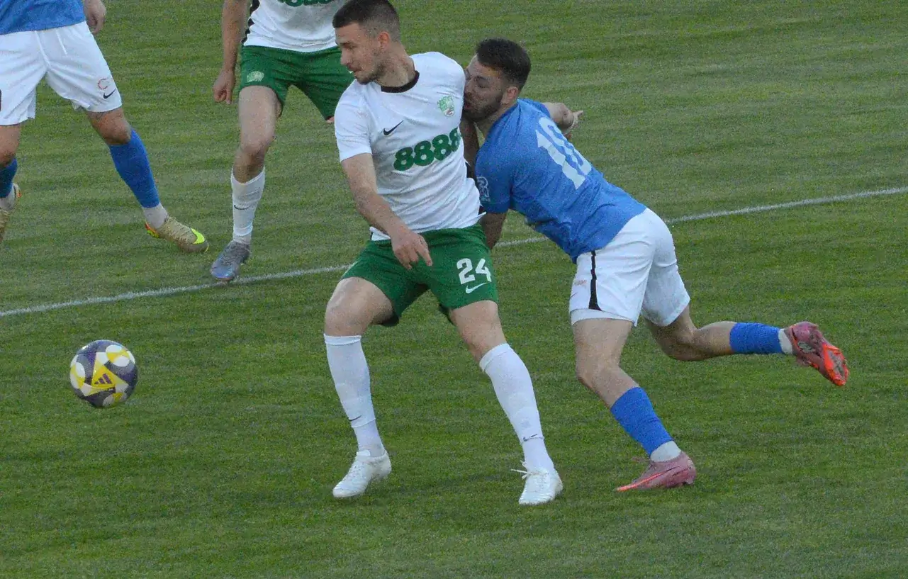 Стефан Гаврилов