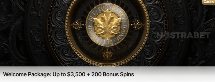 Tooniebet Casino Welcome Bonus