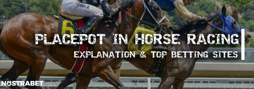 top placepot betting bookmakers