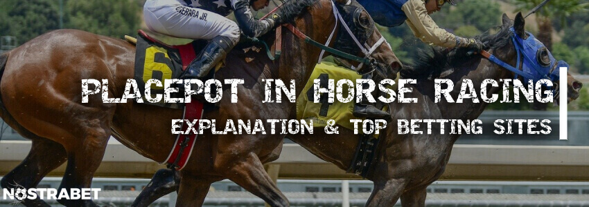 Top 5 Tote Placepot Betting Sites » Placepot Bet in Horse Races Explained