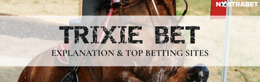 trixie betting sites horse racing