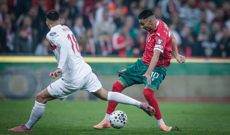 Мерт Мюлдюр и Здравко Димитров