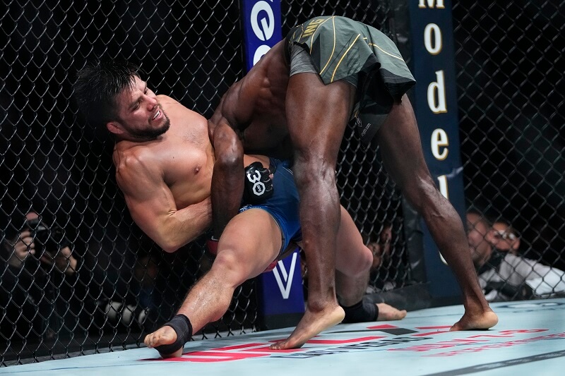 ufc 288