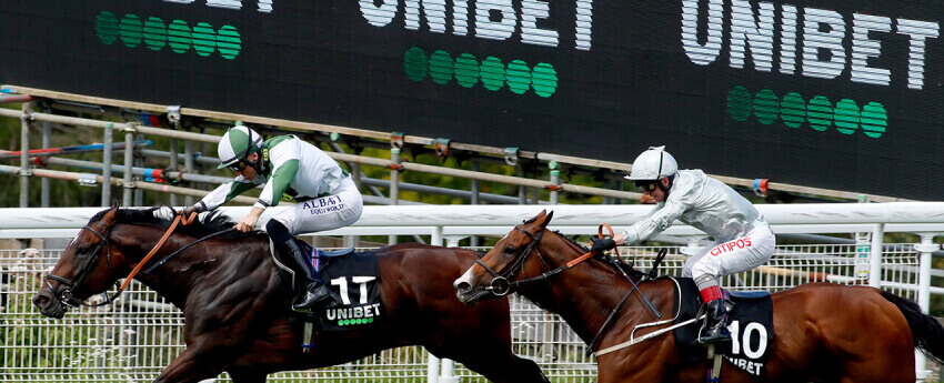 unibet live horse racing betting