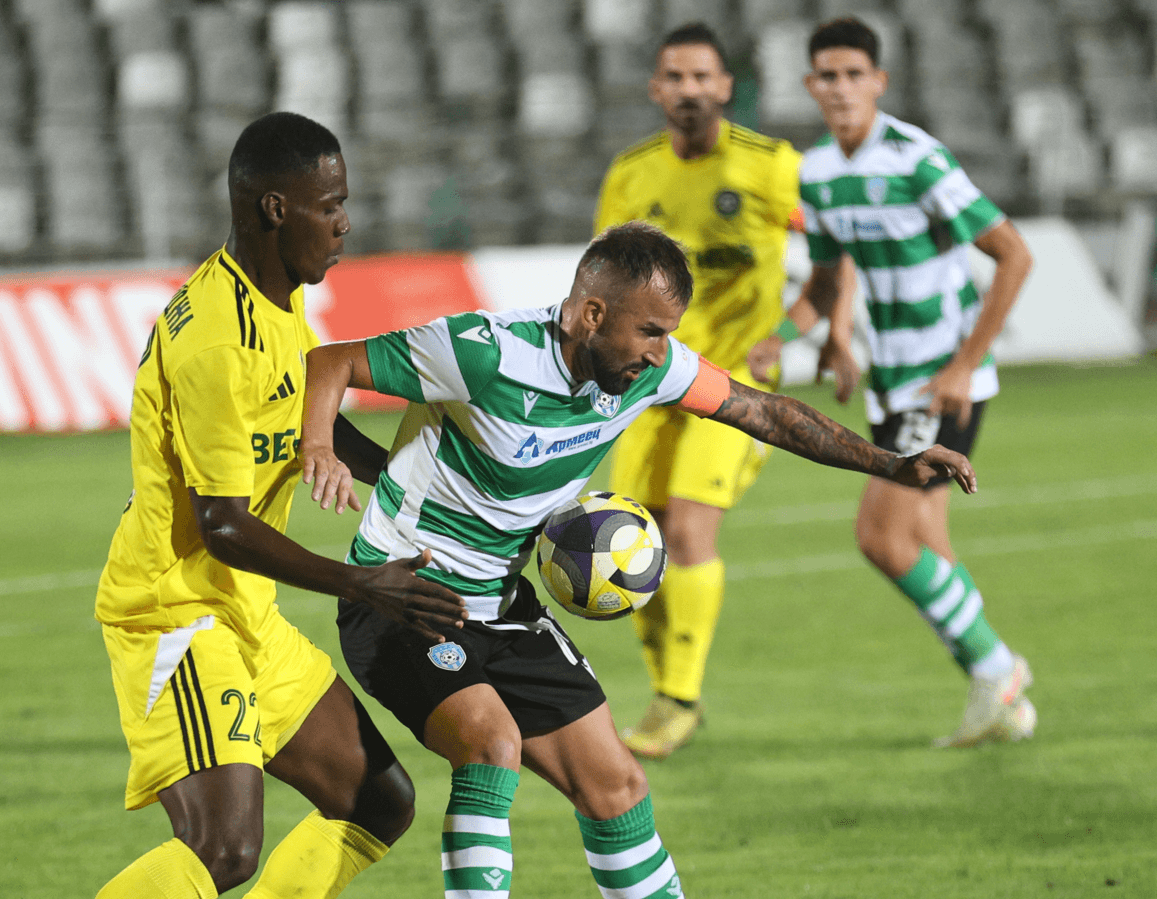 Васил Панайотов