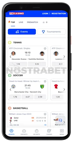 vulkanbet mobile app