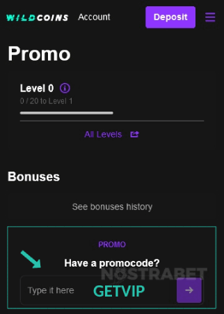 wildcoins bonus code enter