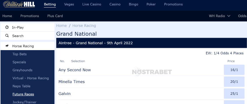william hill grand national betting