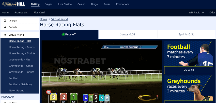 virtual horse racing betting sites