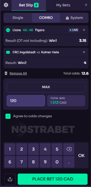 winspirit how to place a bet