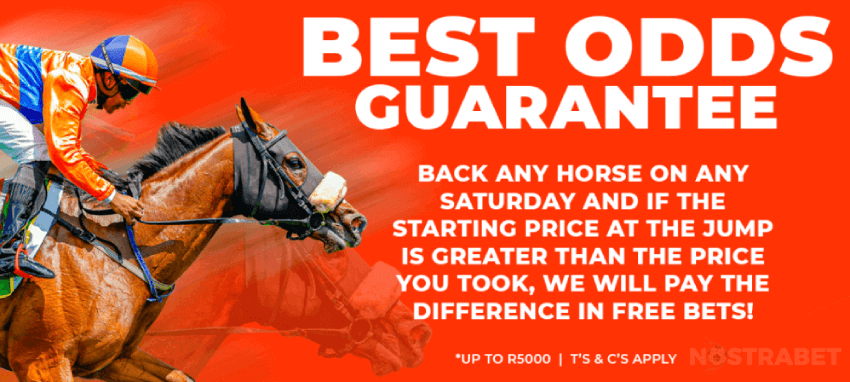 world sports betting best odds guarantee