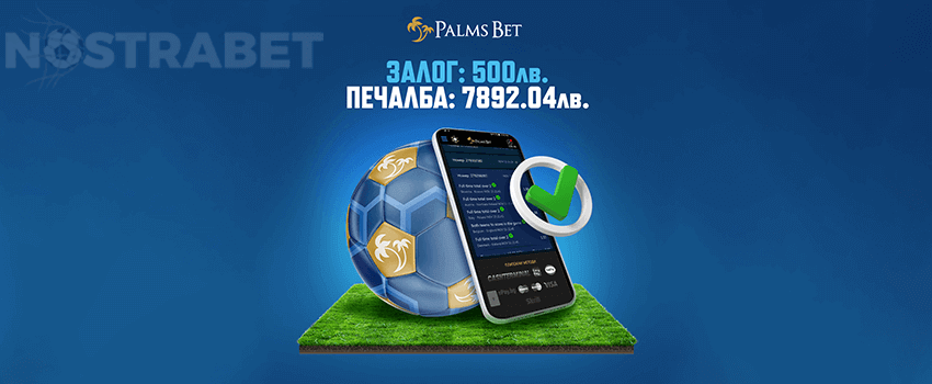 palms bet печалба над 7800 лева
