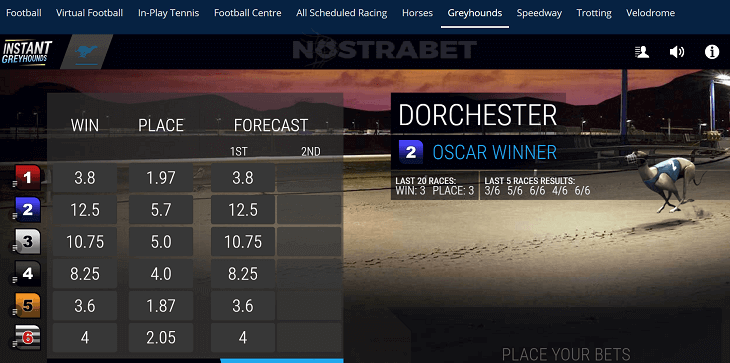 Sportingbet's virtual greyhounds